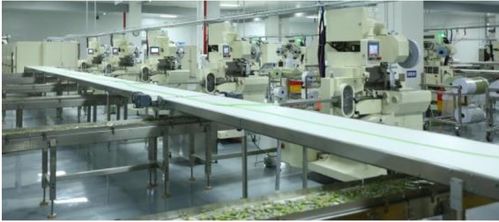 给甜蜜的糖果里加点智慧 施耐德电气EcoStruxure如何赋能食品智慧工厂